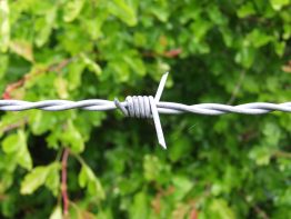 Tornado Force 12 - Barbed Wire - Prices on application due to volatility in the market -0