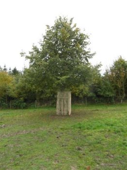 Chestnut Pale Fencing-0