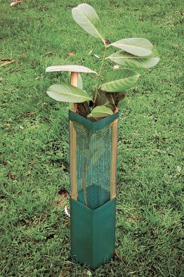Eclipse Shelters 60cm x 120mm-0