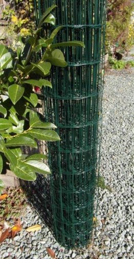 Green PVC Coated Wire Fencing-0