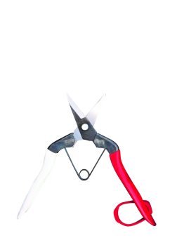 Xmas tree pruning snips